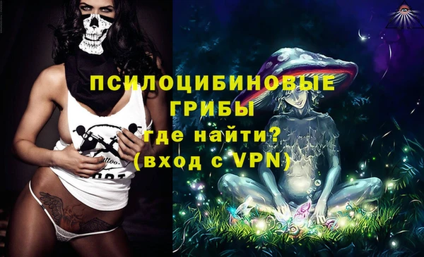индика Баксан