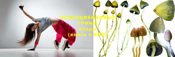 индика Баксан