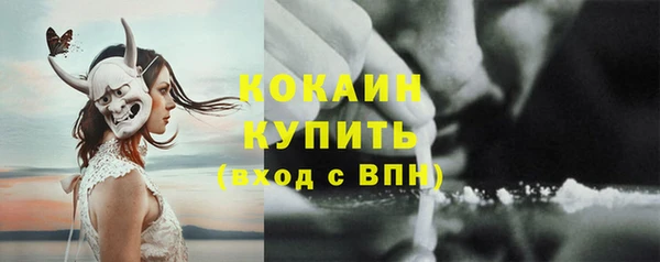 индика Баксан