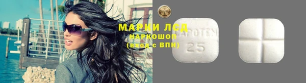 индика Баксан
