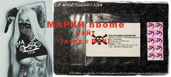 индика Баксан