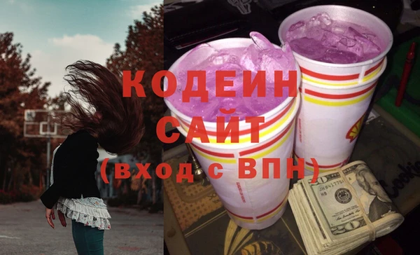 индика Баксан