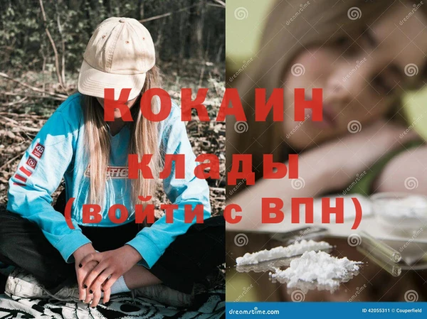 индика Баксан