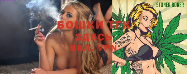 индика Баксан