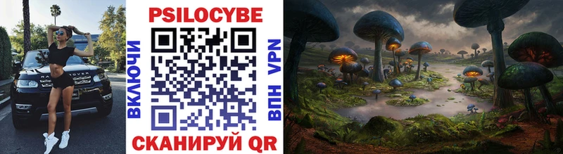где купить   Лихославль  Галлюциногенные грибы MAGIC MUSHROOMS 